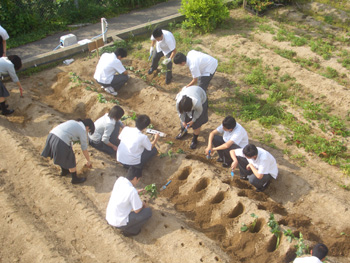 20100617-1.JPG
