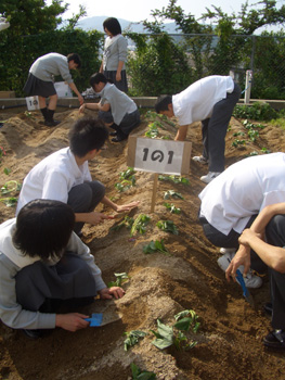20100617-2.JPG