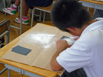 201007313.jpg