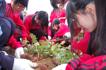 20101120-4.JPG