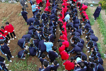 20101120-5.JPG