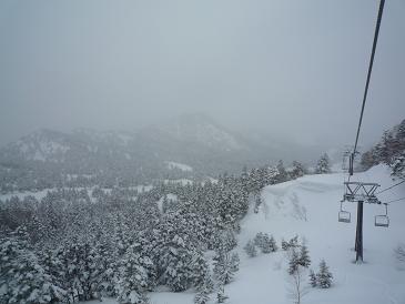 201103075.jpg
