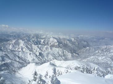 201103081.jpg