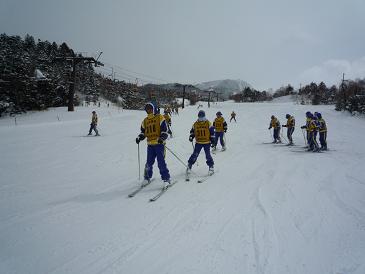 201103095.jpg
