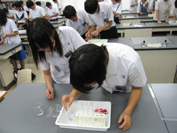 20110827-8.JPG