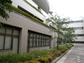 20120101-2.JPG