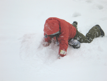 20120213-4.JPG