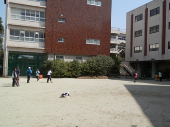 20120329-2.JPG