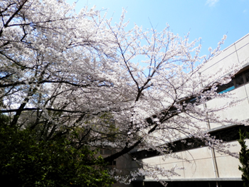 20120407-1.JPG