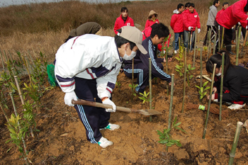 20120412-2.JPG