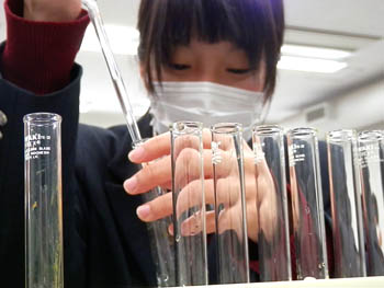 20121226-3.JPG