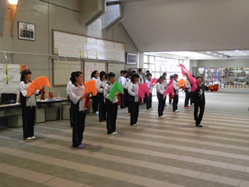 20124020-2.JPG
