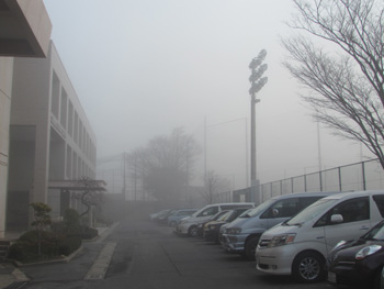20130202-2.jpg