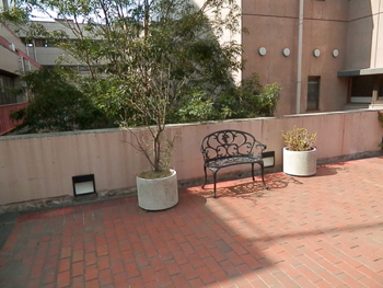 20130302-3.JPG