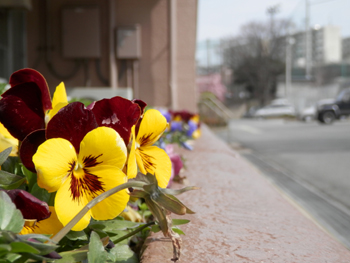 20130302-4.JPG