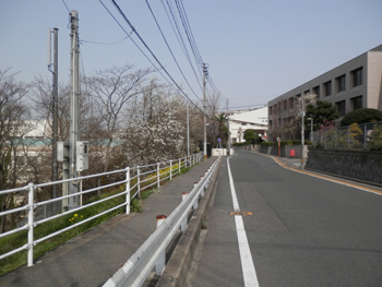 20130317-1.JPG