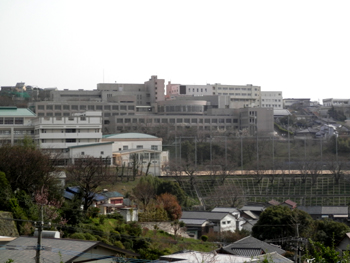 20130317-7.JPG