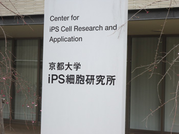 20130423-5.JPG