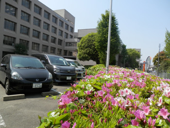 20130428-4.JPG