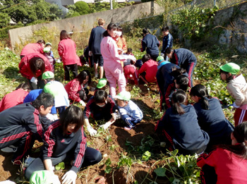 20131119-6.jpg
