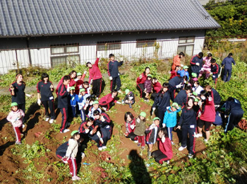 20131119-7.jpg