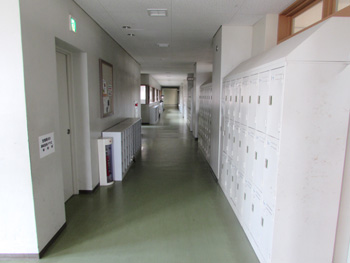 20131231-2.jpg