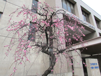 20140220-6.jpg