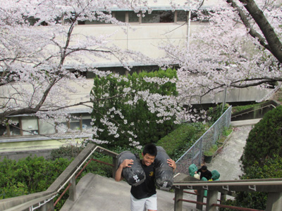 20140401-14.jpg