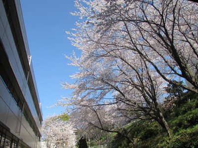 20140402-20.jpg