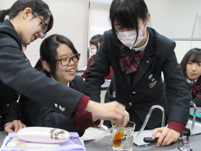 20160303-16.jpg