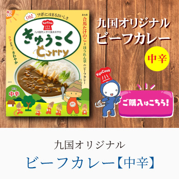 九国オリジナルビーフカレー中辛